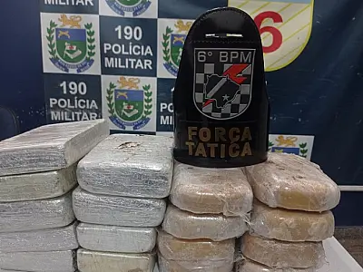 Peruano receberia mais de 5 mil para levar malas com cocaína para São Paulo