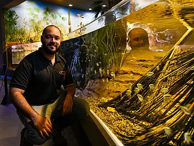 Bioparque Pantanal tem reprodução inédita no mundo de espécie descoberta em MS