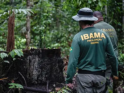 Com ofertas em MS, Ibama publica edital de concurso com 460 vagas