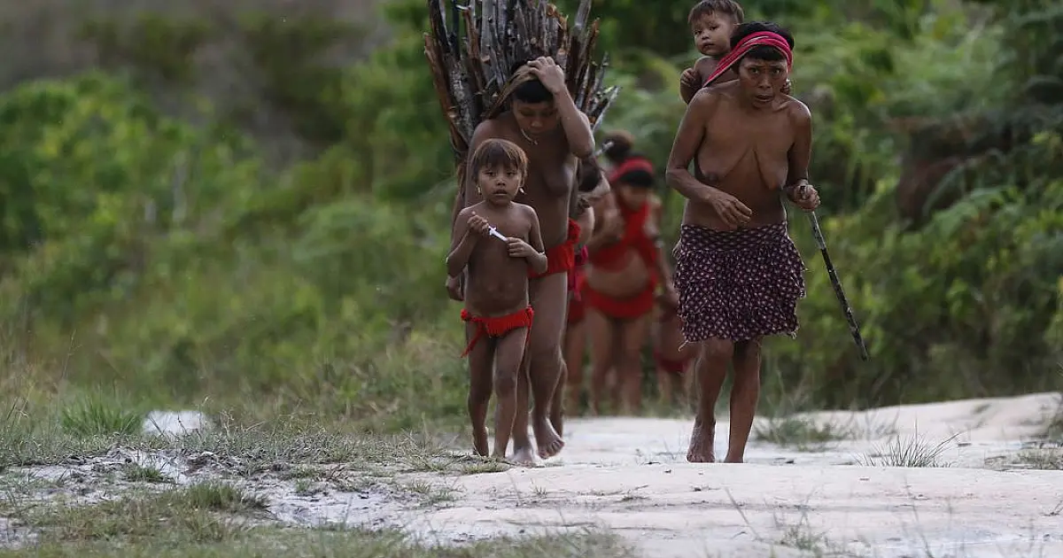 Governo federal envia comitiva à Roraima após ataque em terra yanomami