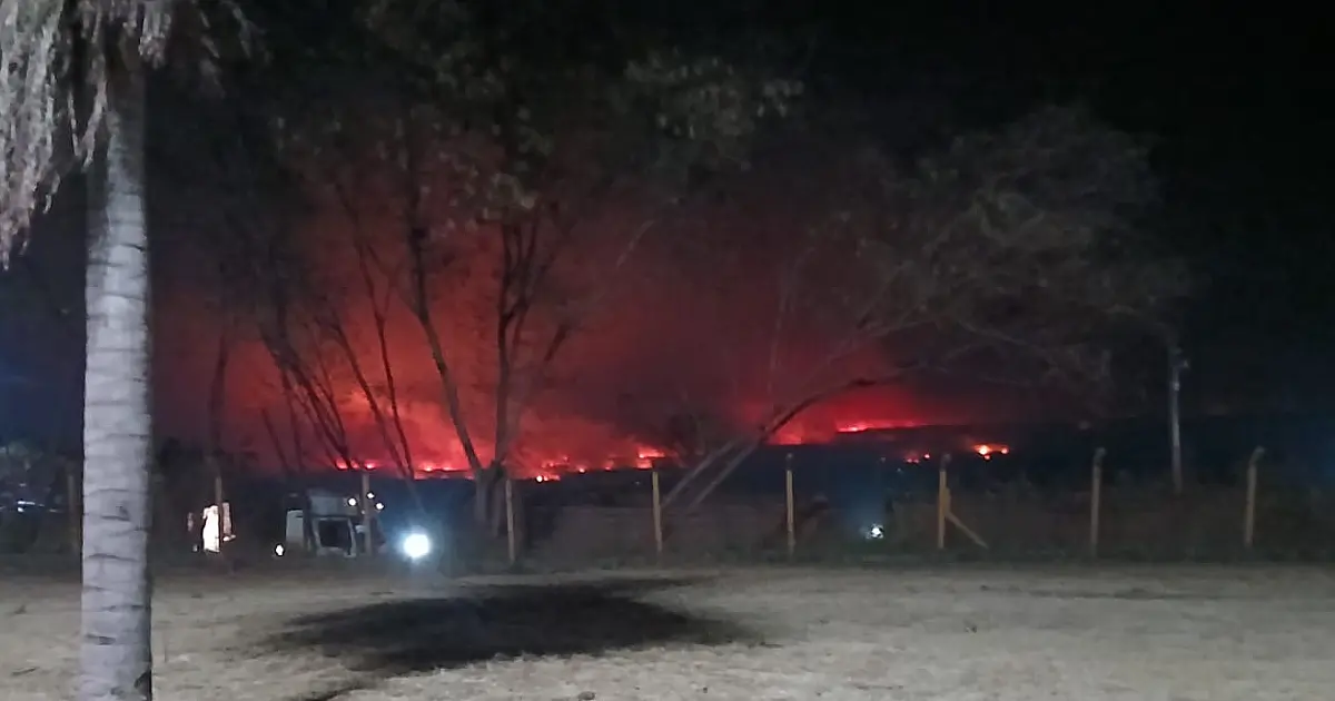 Equipes atuam em cinco frentes de combate ao fogo no Pantanal
