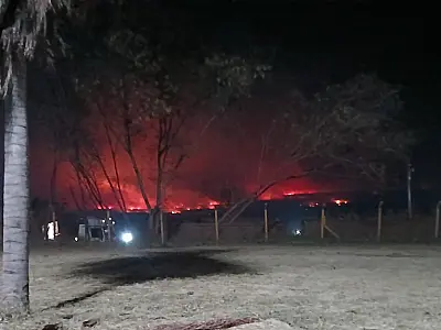 Equipes atuam em cinco frentes de combate ao fogo no Pantanal