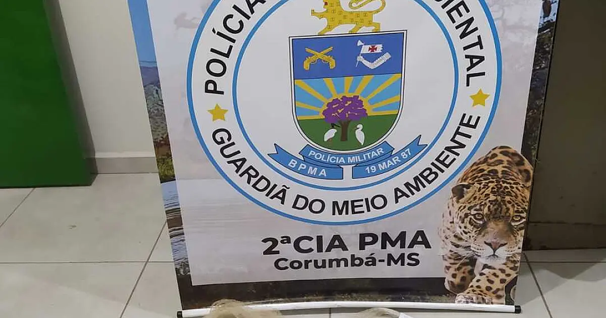 Polícia Ambiental de Corumbá prende e autua dois infratores por pescar em local proibido
