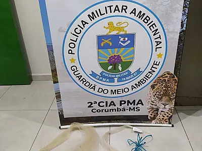 Polícia Ambiental de Corumbá prende e autua dois infratores por pescar em local proibido