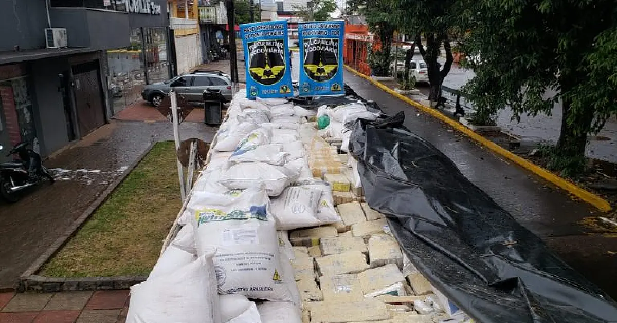 Polícias de MS apreenderam quase 530 toneladas de drogas de janeiro a agosto