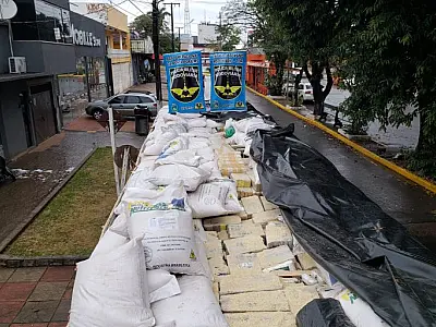 Polícias de MS apreenderam quase 530 toneladas de drogas de janeiro a agosto