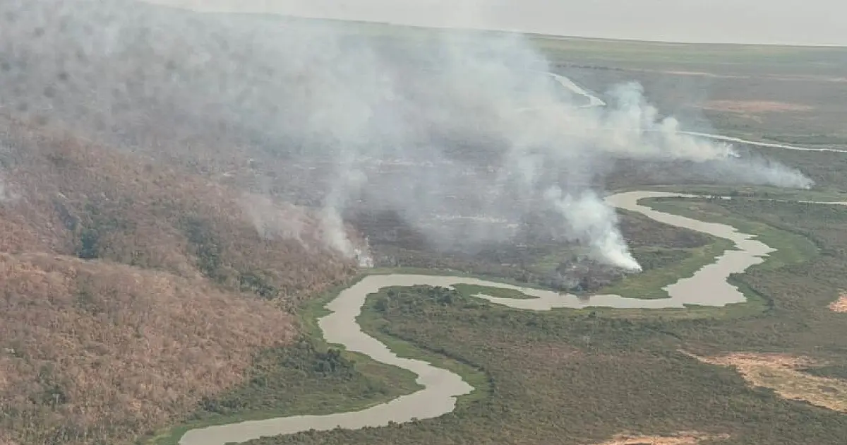 Incêndio na Rede Amolar mobiliza brigadistas e funcionários de fazendas