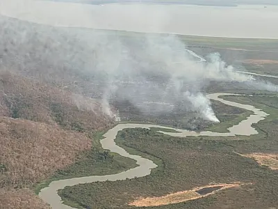 Incêndio na Rede Amolar mobiliza brigadistas e funcionários de fazendas