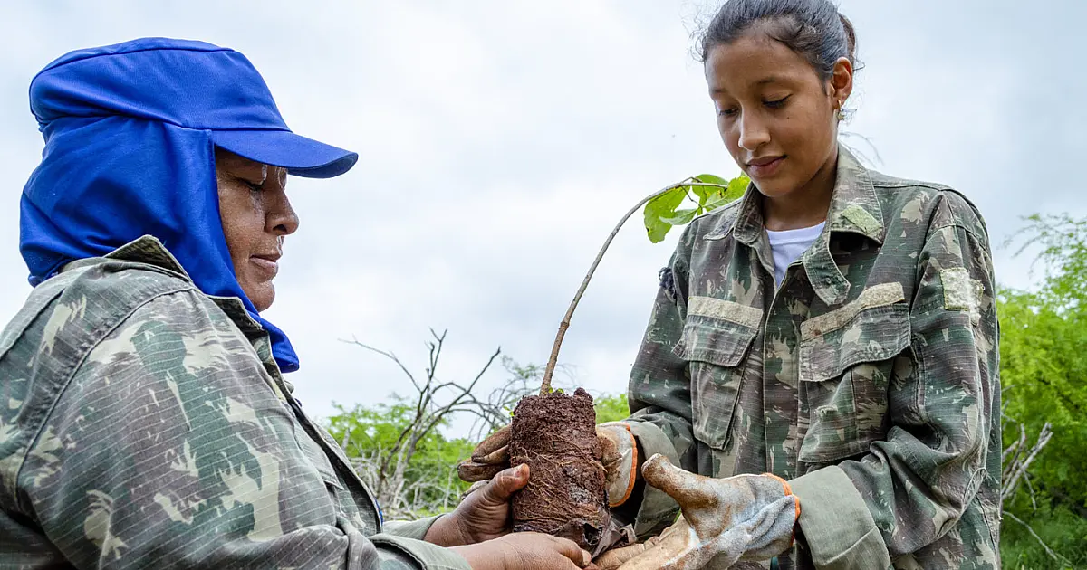 Restaurar o Pantanal: uma missão que ultrapassa gerações