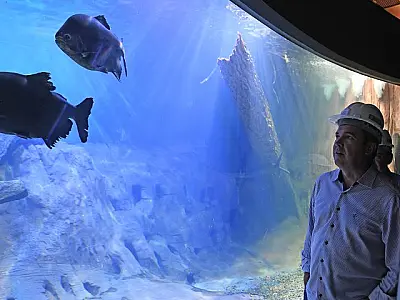"Bioparque Pantanal" será inaugurado na próxima segunda-feira (28)