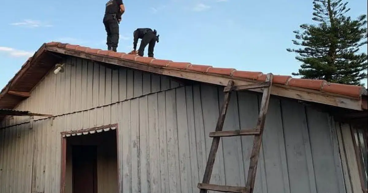 Polícia federal faz operação para reprimir tráfico de drogas de MS