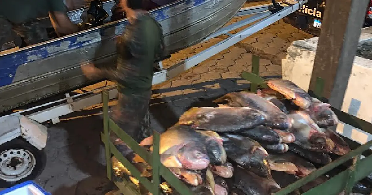 Pescador é multado em mais de R$ 6 mil por pesca predatória no rio Paraguai
