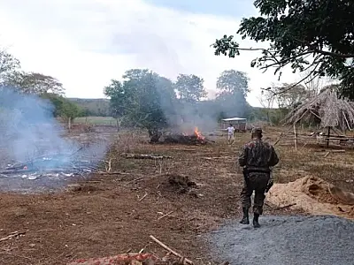 Operação de prevenção à incêndios completa sete meses com mais R$ 33 milhões em multas