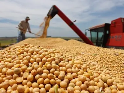 Brasil estima colheita de 354,8 milhões de toneladas de grãos