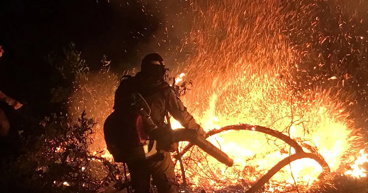 Equipes conseguem avançar contra o fogo na Serra do Amolar