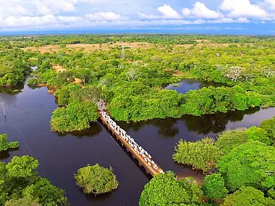 Estado se destaca com 13 municípios entre os mais ricos do agro no País
