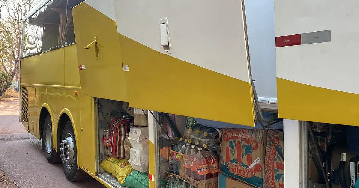 Operação conjunta apreende 2 toneladas de mercadorias irregulares, Ilhamas empalhadas e cocaína