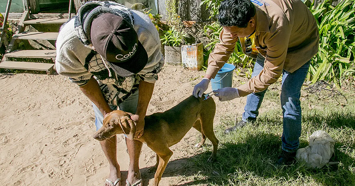 Corumbá promove dia de combate à Leishmaniose neste sábado (12)