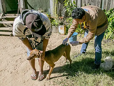 Corumbá promove dia de combate à Leishmaniose neste sábado (12)