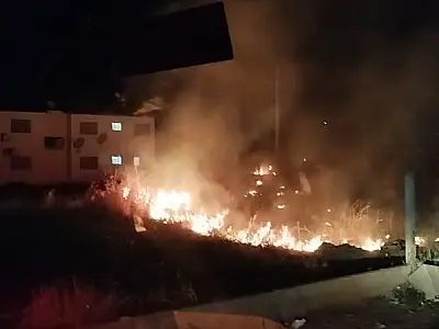 Incêndios em vegetação são maioria das ocorrências dos Bombeiros em Setembro