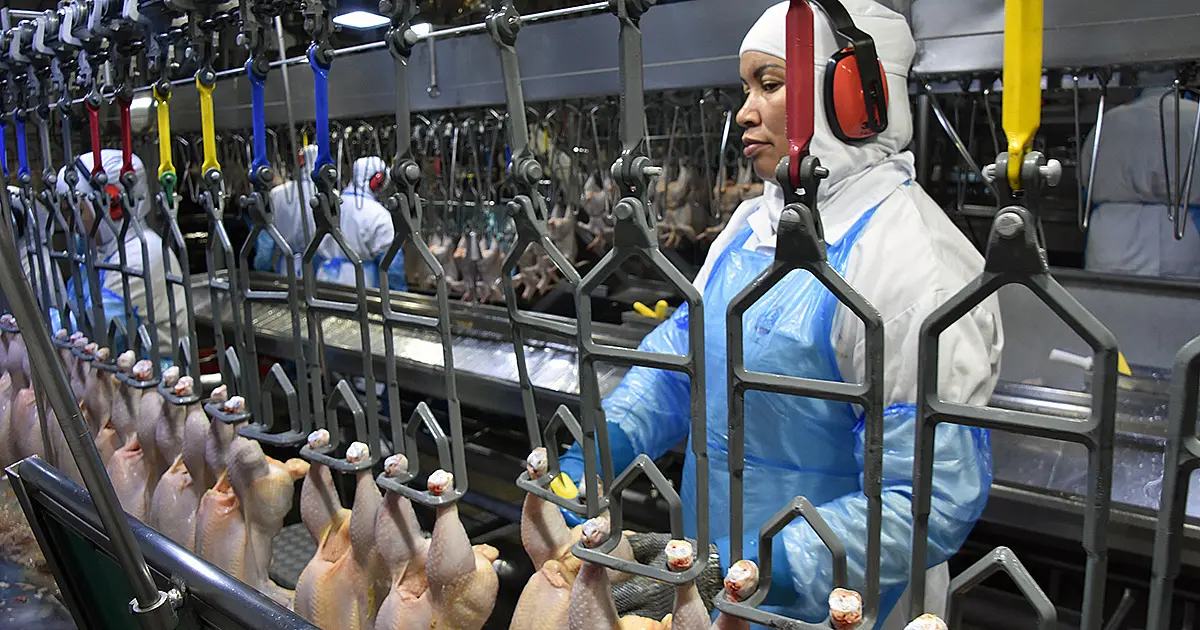 Produção industrial seguiu estável ou em crescimento na maioria das empresas de MS em dezembro