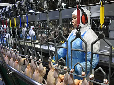 Produção industrial seguiu estável ou em crescimento na maioria das empresas de MS em dezembro