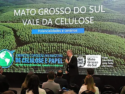 Área plantada de florestas em MS é a que mais cresce no país e chega a 1,5 milhão de hectares