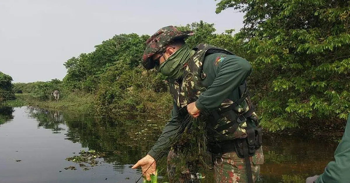 No 1&ordm; mês de operação, PMA apreende 555 kg de pescado e multa 42 pescadores