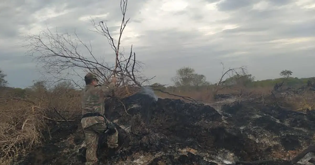 Homem é autuado por incendiar restos de vegetação no Pantanal