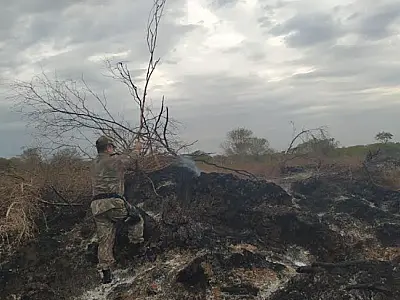 Homem é autuado por incendiar restos de vegetação no Pantanal
