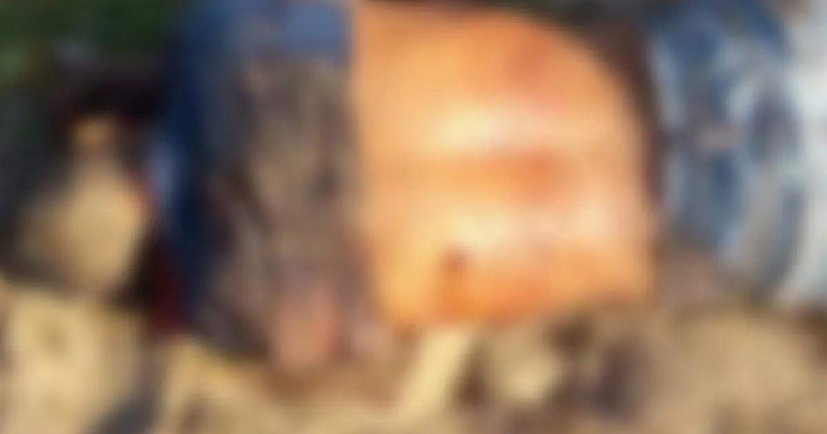 Homem é assassinado à facadas em fazenda no Pantanal