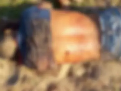 Homem é assassinado à facadas em fazenda no Pantanal