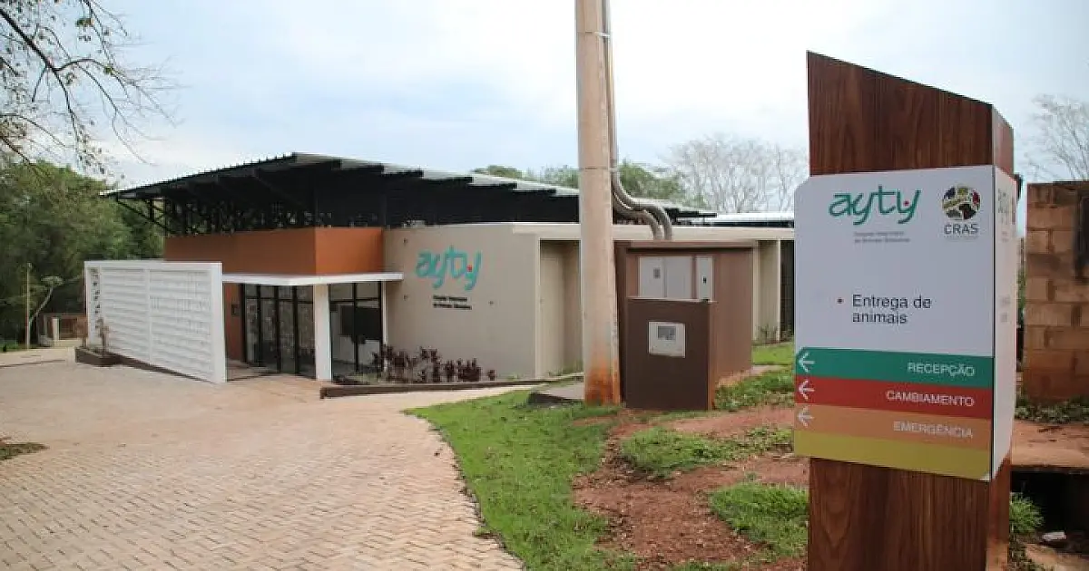 Hospital Ayty completa um ano de atividade com 3 mil reabilitações de animais silvestres