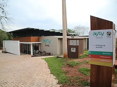 Hospital Ayty completa um ano de atividade com 3 mil reabilitações de animais silvestres