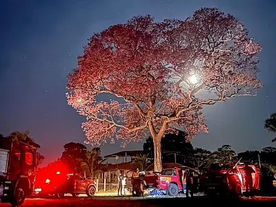 ONGs destacam importância do trabalho conjunto no combate à incêndios no Pantanal