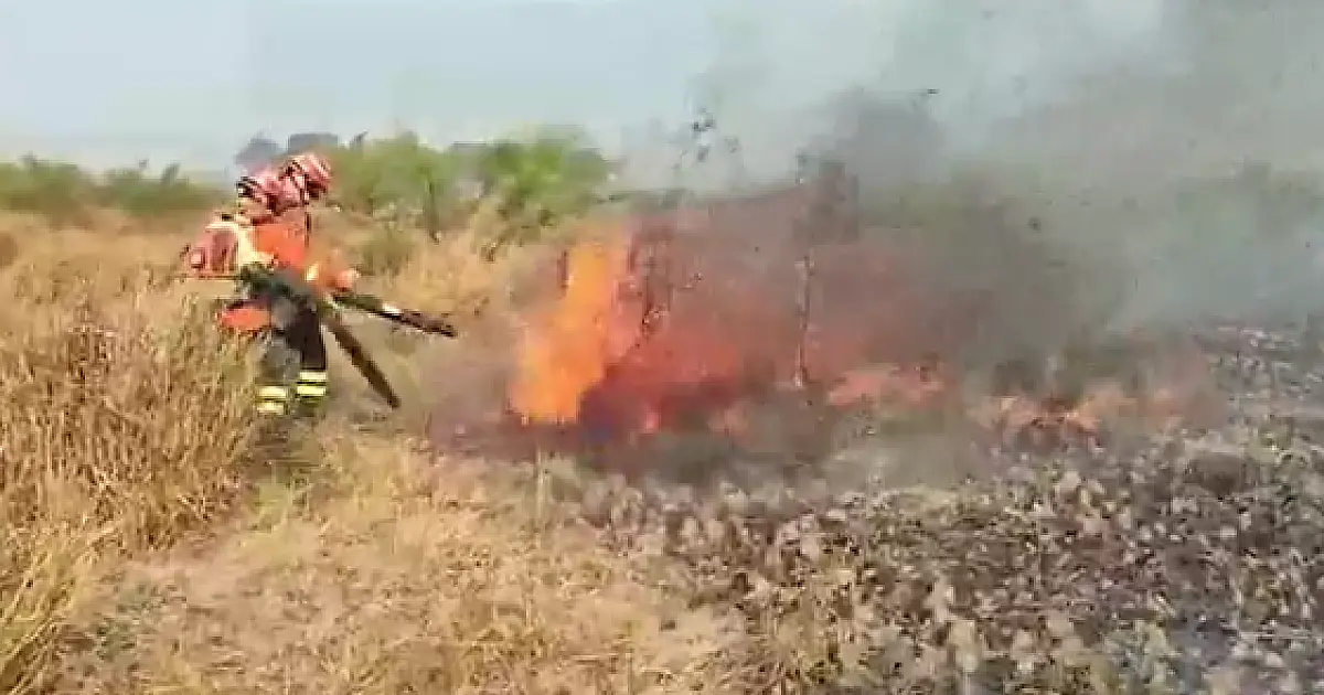 Em outubro crítico, brigadistas combatem fogo que atinge três regiões do Pantanal