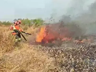 Em outubro crítico, brigadistas combatem fogo que atinge três regiões do Pantanal