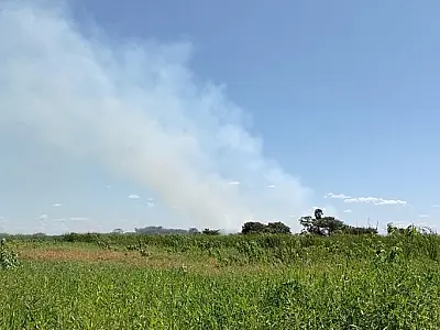 Incêndio em vegetação desloca Bombeiros e PMA para Canal do Tamengo