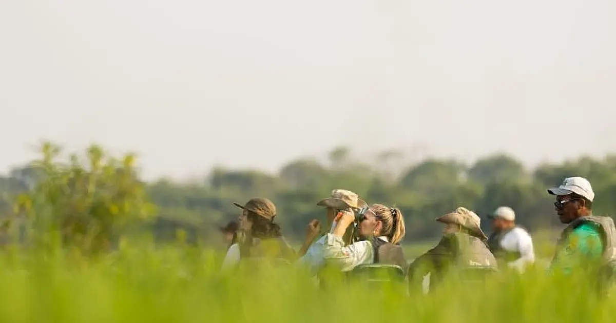 Evento histórico discute turismo de observação de aves no Pantanal de MS