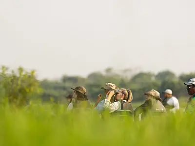 Evento histórico discute turismo de observação de aves no Pantanal de MS