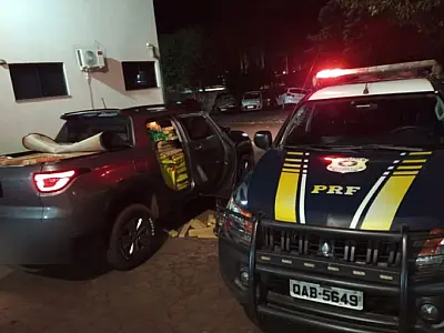 PRF apreende mais de 1 tonelada de maconha na BR 262