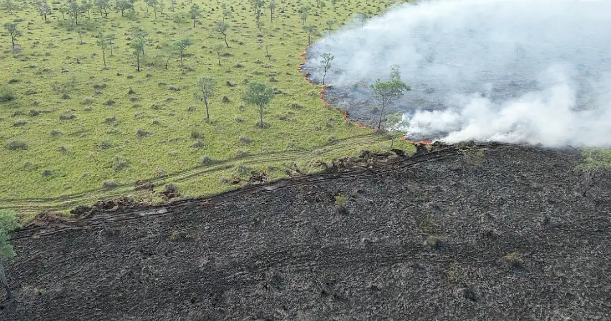 Operação Pantanal completa 3 meses com atuação em diversas regiões do Pantanal