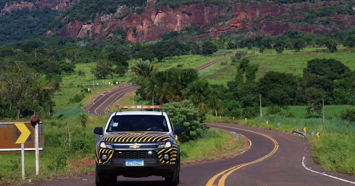"Estrada Viva" amplia ações em rodovias para reduzir acidentes com animais silvestres