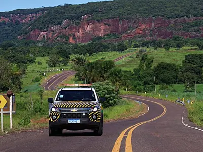 "Estrada Viva" amplia ações em rodovias para reduzir acidentes com animais silvestres