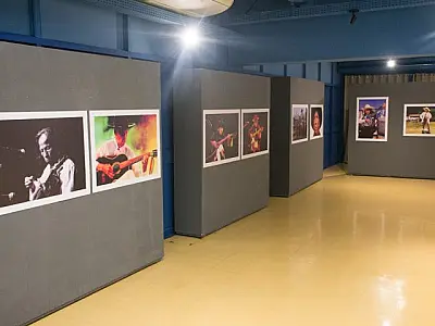 Dama da Viola, Helena Meirelles é homenageada com exposição historiográfica no MIS