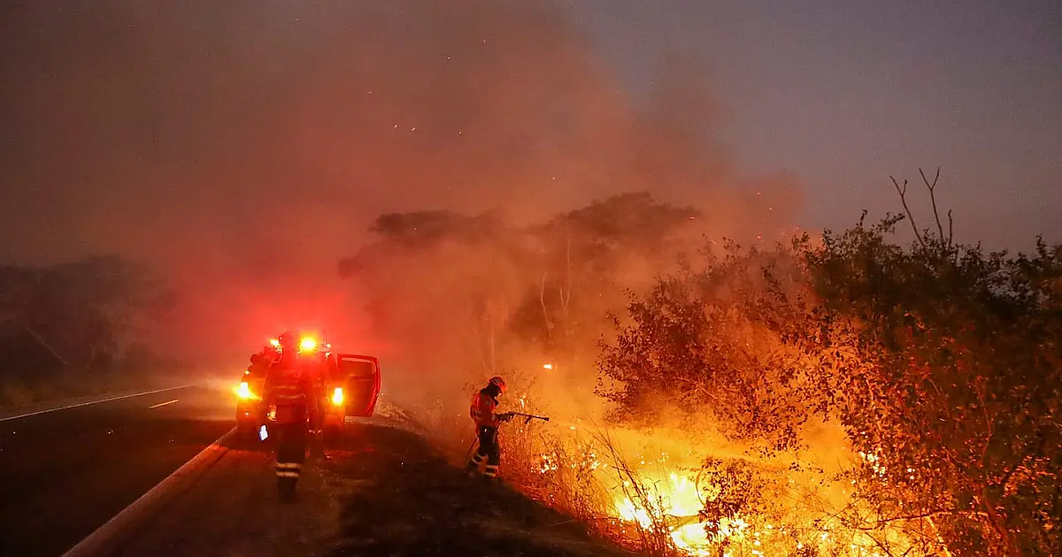 Dia 97: Bombeiros atuam em seis diferentes áreas no Pantanal
