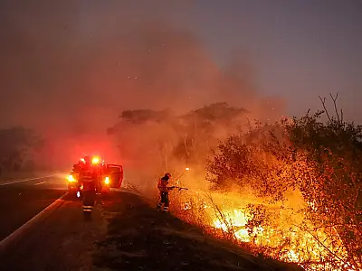 Dia 97: Bombeiros atuam em seis diferentes áreas no Pantanal