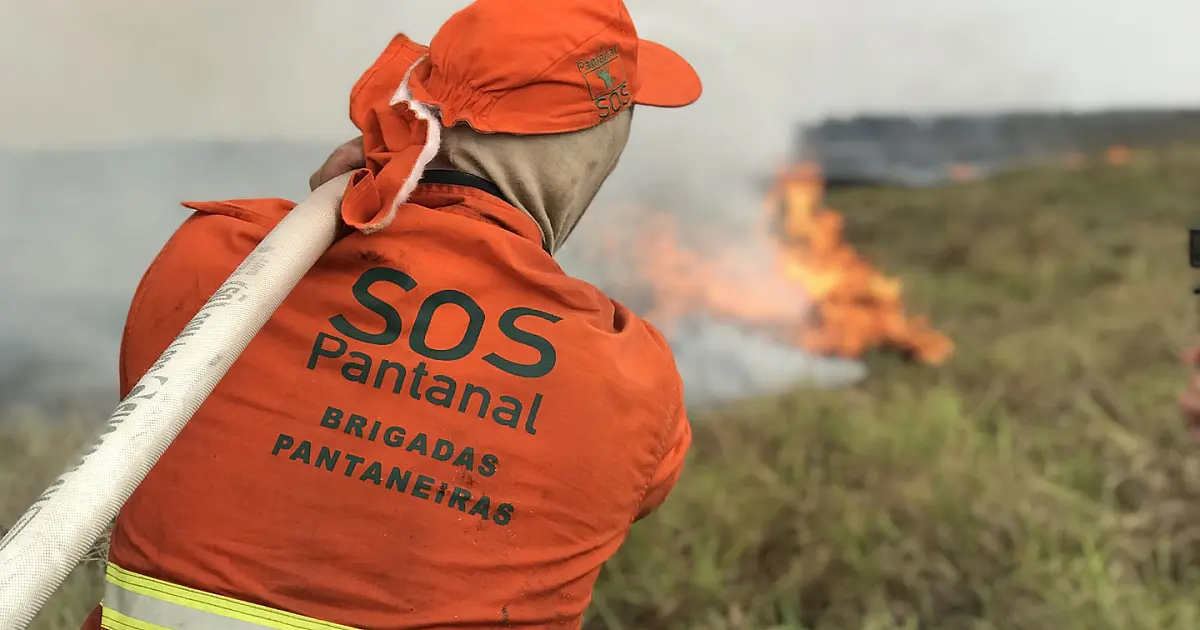 Sistema que promove monitoramento de focos de calor no Pantanal é lançado oficialmente