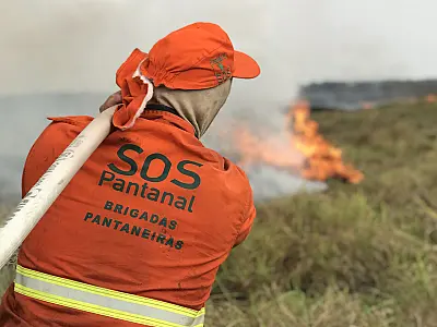 Sistema que promove monitoramento de focos de calor no Pantanal é lançado oficialmente