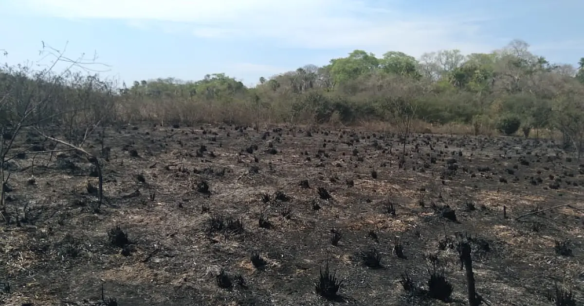 Bombeiros se deslocam para combater incêndio em Porto Murtinho